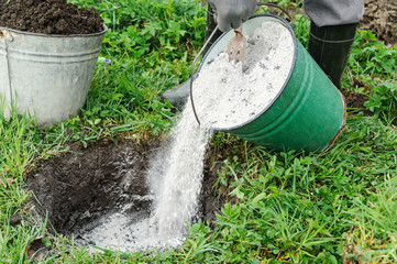 Как правильно применять золу для удобрения почвы