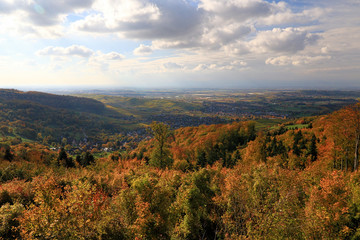 Yellow, orange and red autumn leaves, Germany