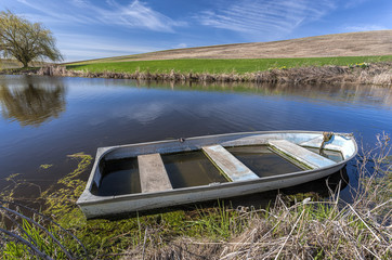 Old boat in pond.