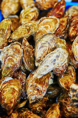 Fresh oysters on farmers market