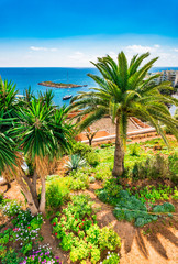 Fototapeta na wymiar Idyllic view of the mediterranean coast with beautiful palm trees on Majorca island Spain 