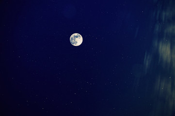Mond