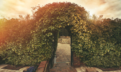 English Village Cottage. charming garden