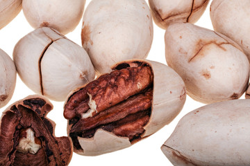 Pile of pecan nuts closeup isolated on white background