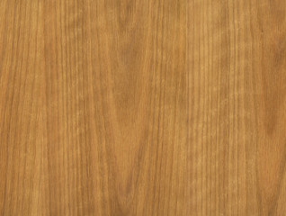 oak wood texture