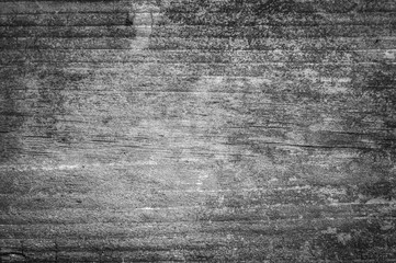 Closeup texture of a tree, black and white