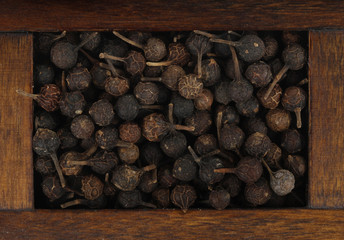cubeba pepper in wooden box isolated