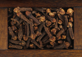 cloves in wooden box isolated