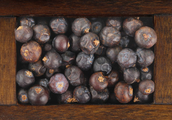 juniper berries in wooden box isolated