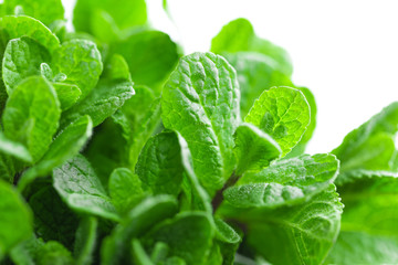 Fresh mint on white background closeup