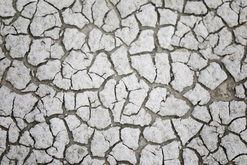 Cracked earth. Abstract  texture for background