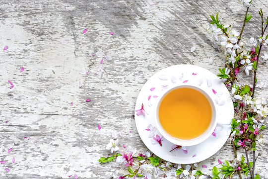 cup of green tea on saucer and branches of blossoming sakura and cherry