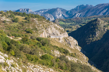 Fototapeta na wymiar Crossing woodland and mountain pasture, to discover the nature of the foothills of the National Park Los Picos de Europa. In the background, peaks of the famous limestone mountain range