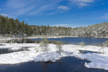 Igelsjön winter II