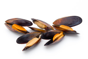 Mussels isolated on white background. Sea food. © gitusik