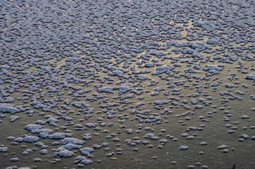 Frozen lake - ice texture