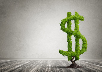 Right investment for getting income