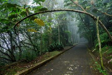 Veracruz Fog Park mexico
