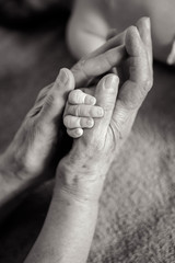 Fototapeta premium great-grandmother holds the hands of his beloved grandson by the window