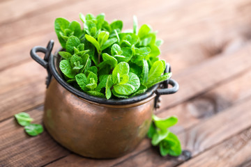 Fresh mint on wooden background