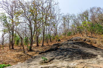 Fototapeta premium Hot season