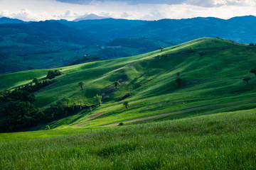 Obraz premium Panorama collinare in Appennino