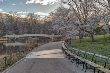 Bow bridge Central Park