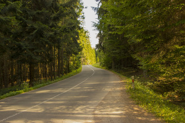 Fototapeta premium curve way of asphalt road through the green field