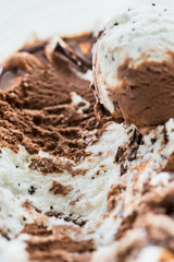 Vanilla and Chocolate Ice Cream