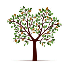 Color Tree with Leafs. Vector Illustration.