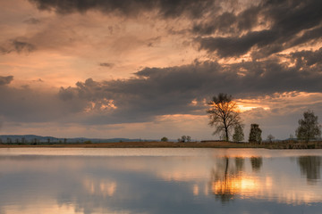 Silhouette tree at sunset in lake