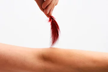 rote feder streichelt arm red feather strokes arm © moonrun