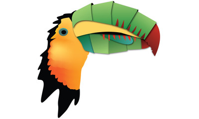 Toucan logo and Icon illustration 