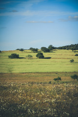 Fototapeta premium Agricultural fields in Alentejo Portugal