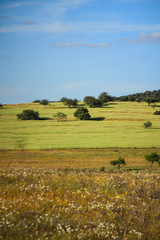 Obraz premium Agricultural fields in Alentejo Portugal