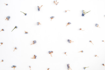 Frame of pale blue dried flowers on white background. Flat lay, top view