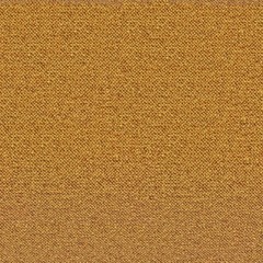 Carpet Perfectly Seamless Texture