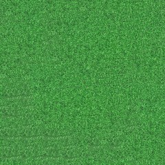 Carpet Perfectly Seamless Texture