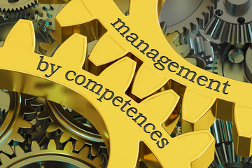 management by competences concept on the gearwheels, 3D rendering