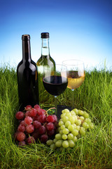 Obraz na płótnie Canvas Bottle and glass of wine in fresh green gras