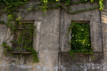Abandoned buildings in the old part of Porto, Portugal.
