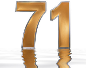 Numeral 71, seventy one, reflected on the water surface, isolated on  white, 3d render