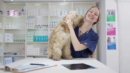  Portrait of smiling veterinarian with cute dog in clinic - Powered by Adobe