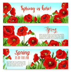 Vector spring time flowers on greeting banners set