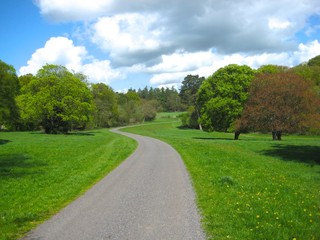 Plakat Road Through the English Countryside