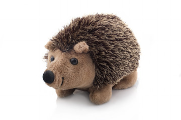 Hedgehog on a white background. Baby soft toys