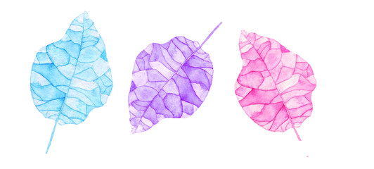 Watercolor leaves isolated on the white background