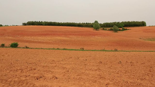 Tierras de Cultivo Aradas Recientemente y Pinar
