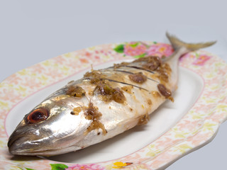 Closeup Fresh atlantic mackerel