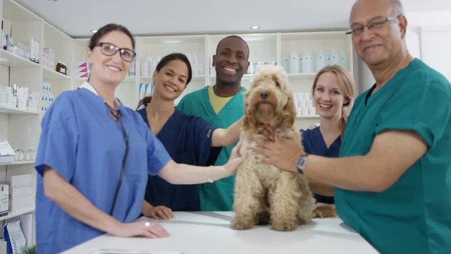  Portrait of smiling veterinarian team with cute dog in clinic